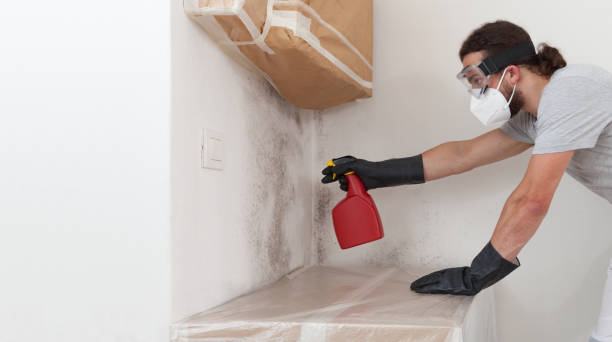 Professional Crawl Space Mold Remediation technician working in Hanover, MN