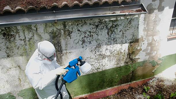 Top rated local Crawl Space Mold Remediation specialists in Hanover, MN